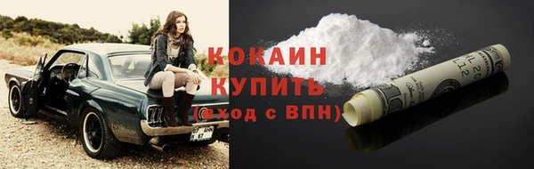 тгк Верея