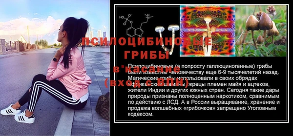 тгк Верея
