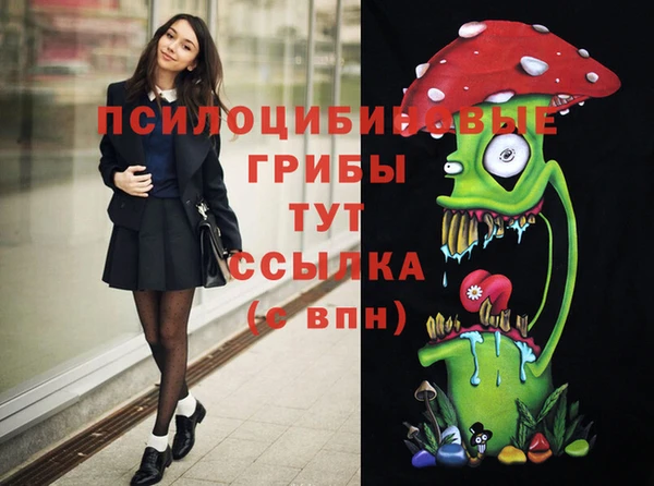 амф Вяземский