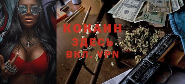 амф Вяземский